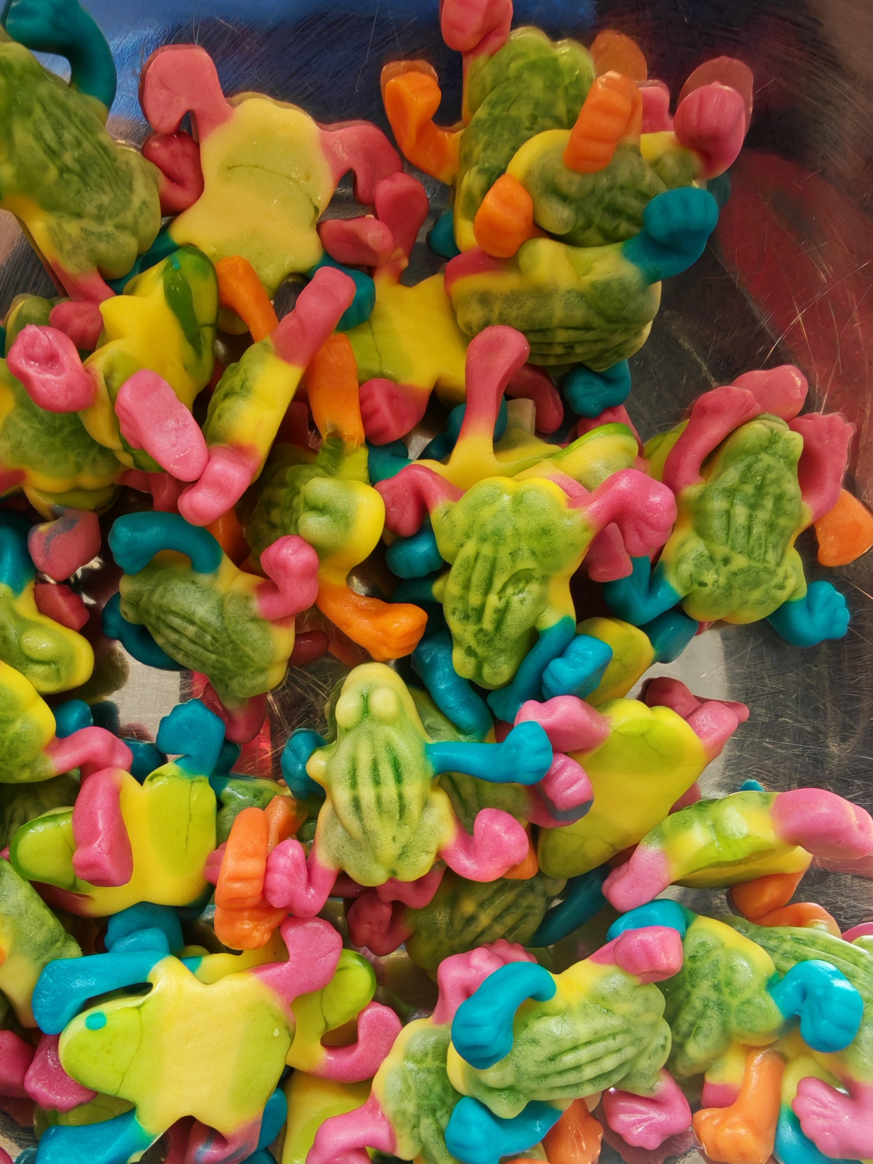 Tropic Frogs