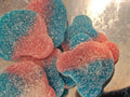 Bubblegum Bears