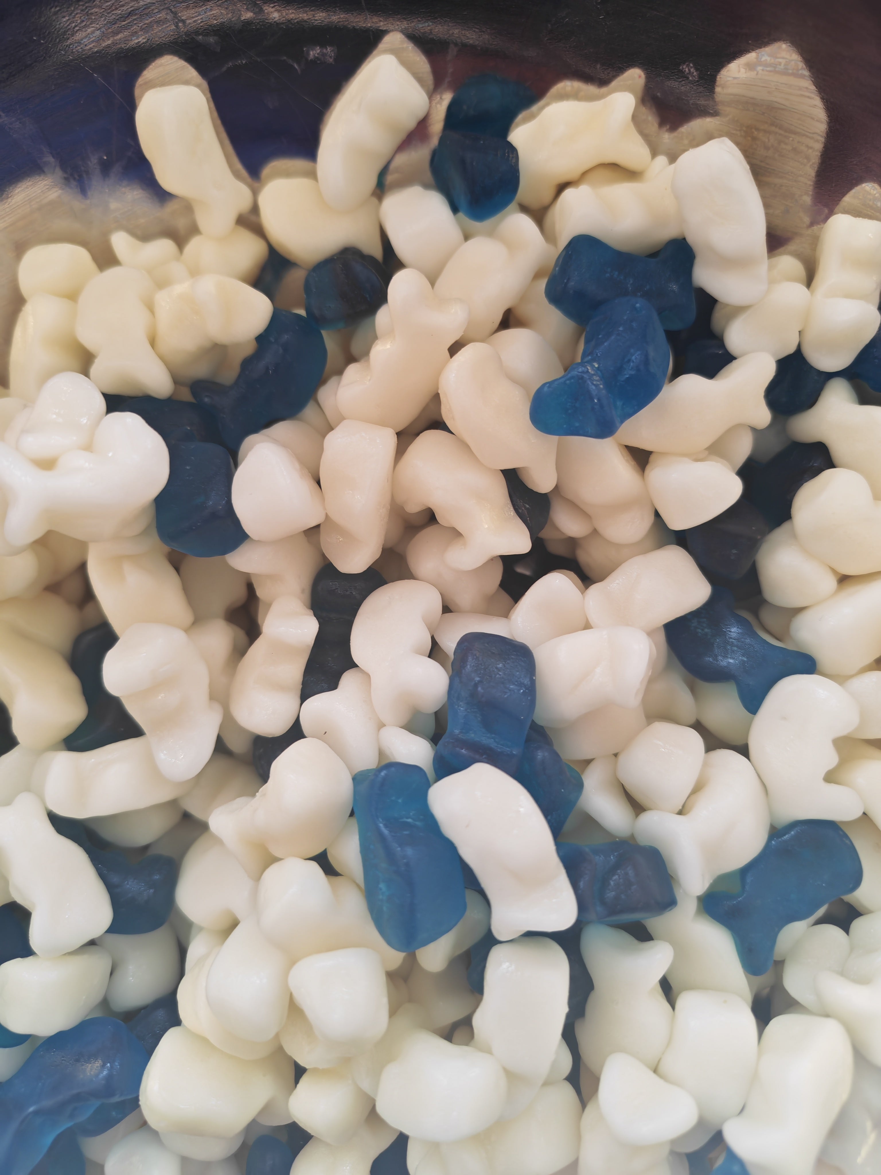 Mini dolphins