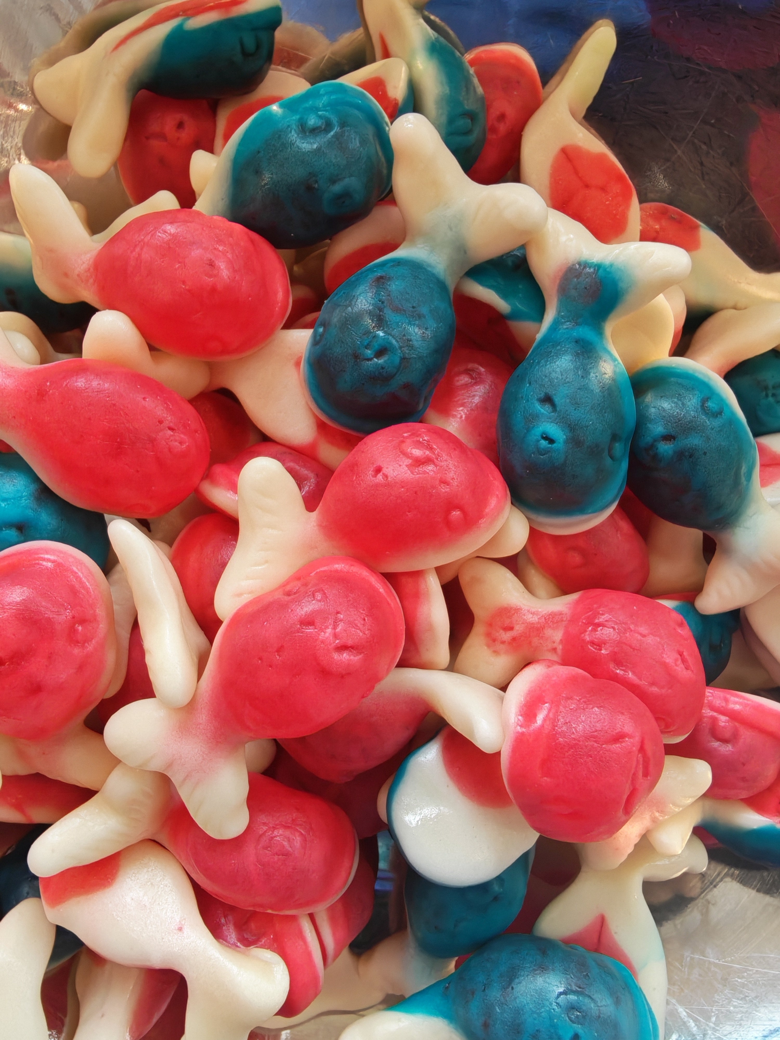 Filled Whales